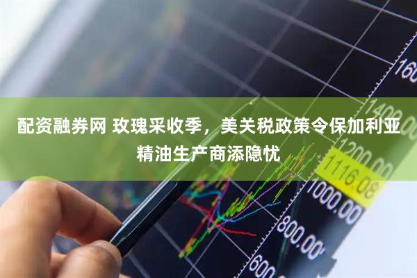 配资融券网 玫瑰采收季，美关税政策令保加利亚精油生产商添隐忧
