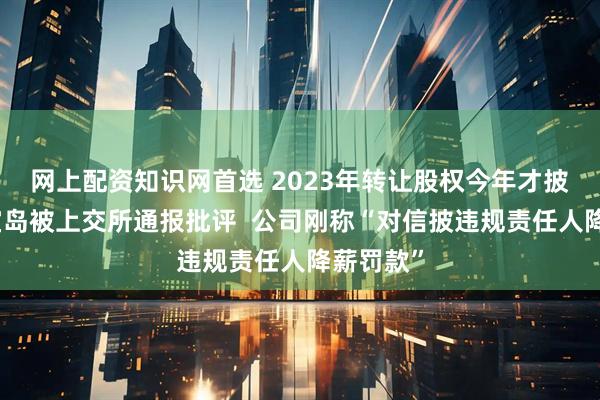 网上配资知识网首选 2023年转让股权今年才披露，珍宝岛被上交所通报批评  公司刚称“对信披违规责任人降薪罚款”